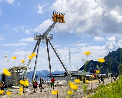 Almschaukel Dondolo mit Blick über die Berge