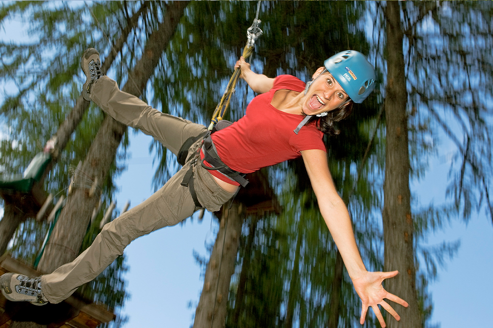 Flying Fox